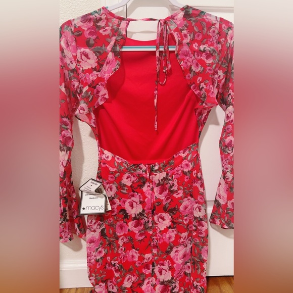 Red Flowers 🌺 - Picture 2 of 2